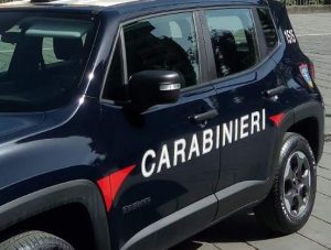 Carabinieri violazioni sicurezza agroalimentare