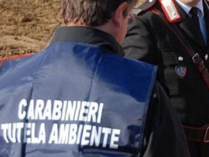 Carabinieri N.O.E. di Salerno